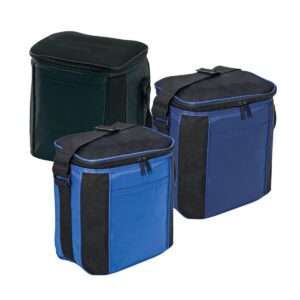 6 Drink Cooler