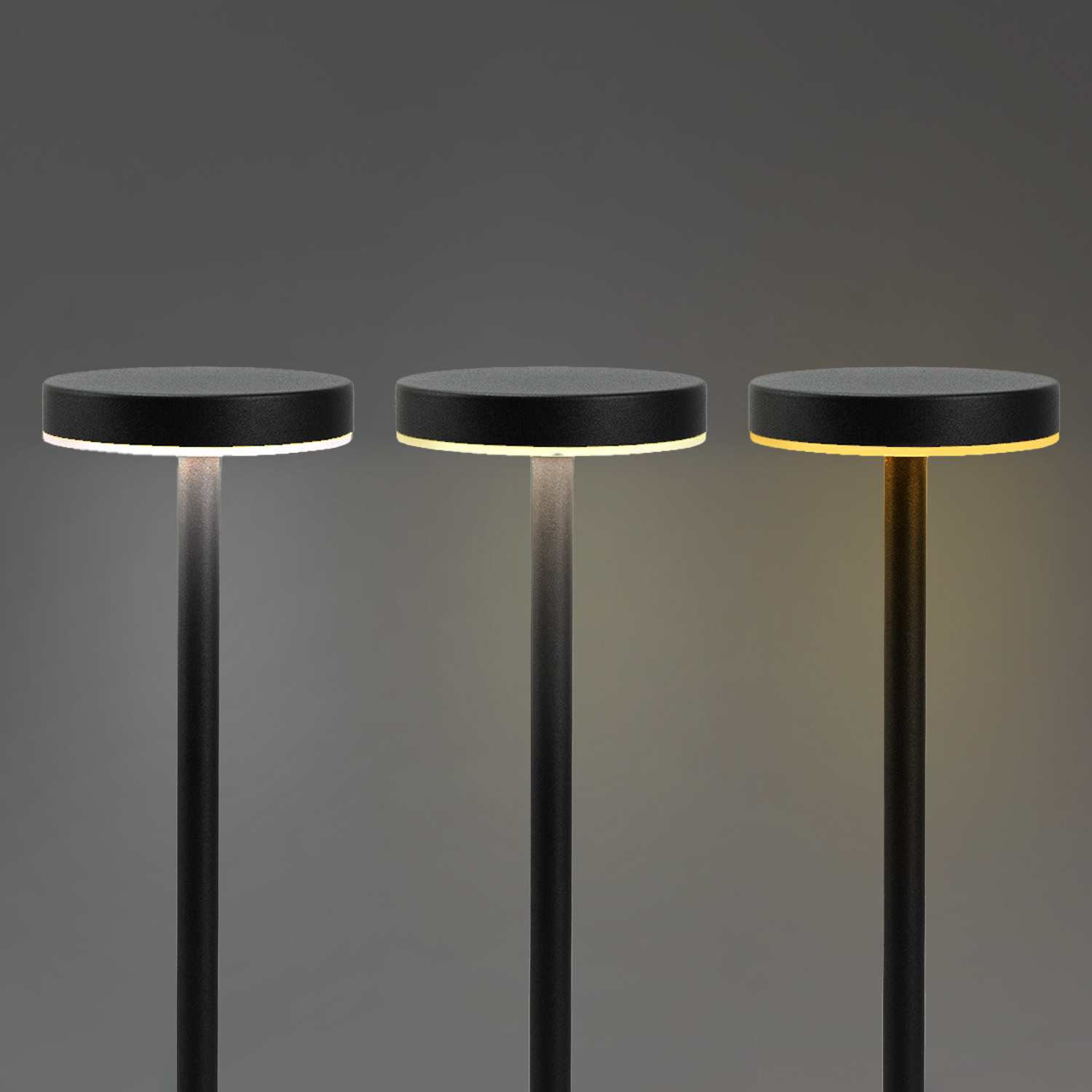 Nouveau Rechargeable Table Lamp - Image 2