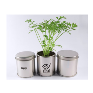 Sprout Tin